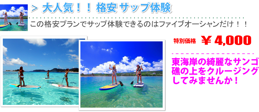 大人気格安サップ