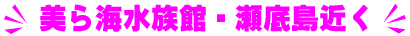 美ら海水族館近く！